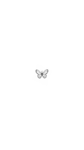 Single Butterfly