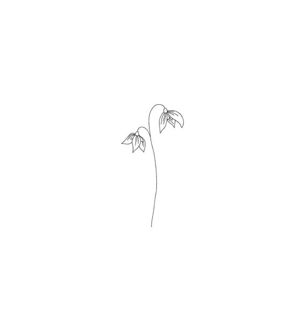 Birthflower - january