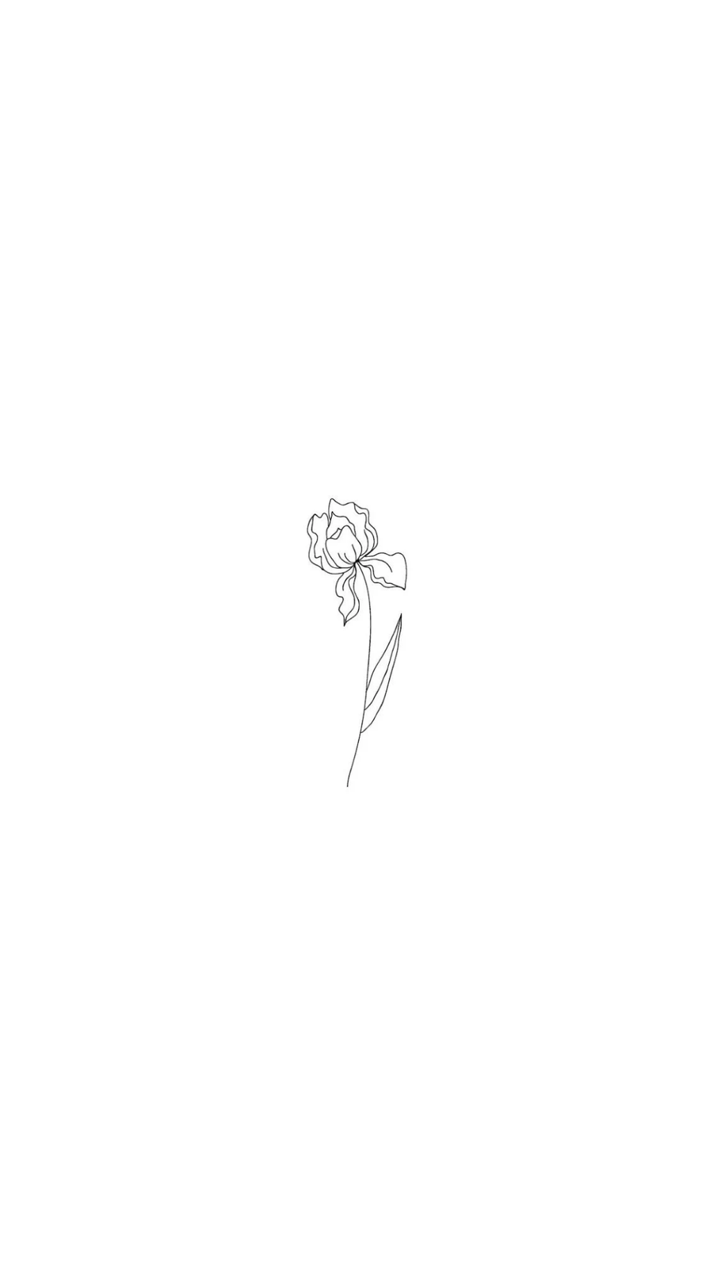 Birthflower - february