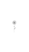 Birthflower - september