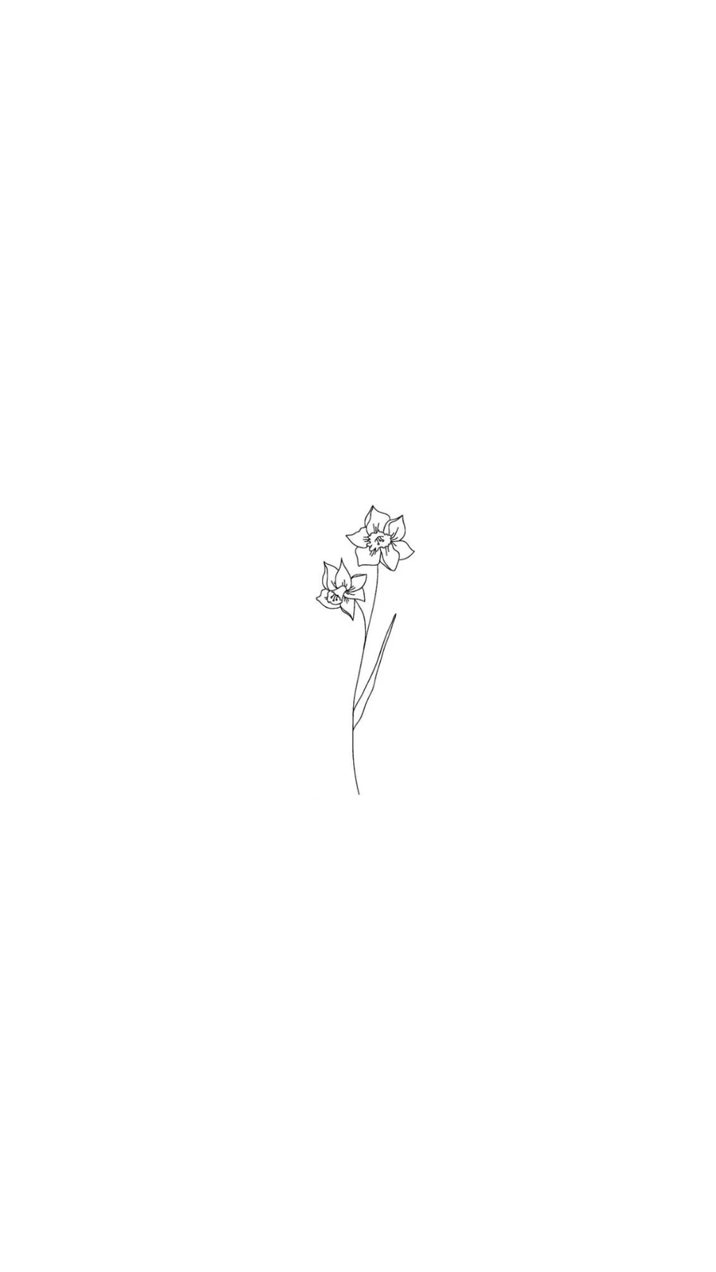 Birthflower - december