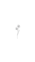 Birthflower - december