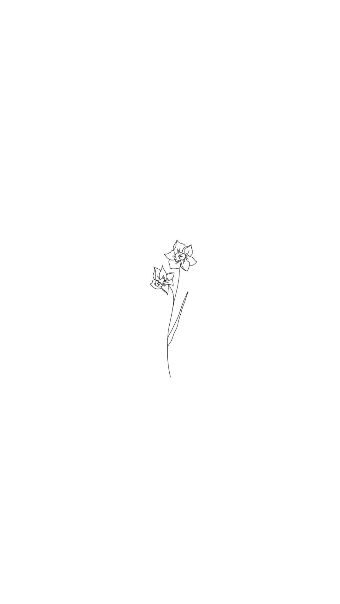 Birthflower - december