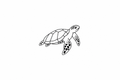 Sea turtle